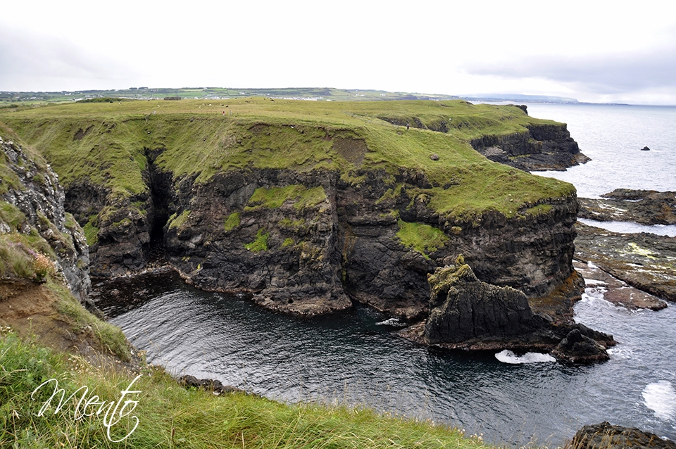 _DSC6582