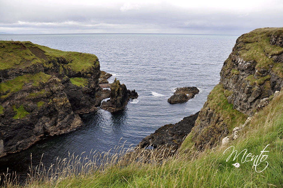 _DSC6583