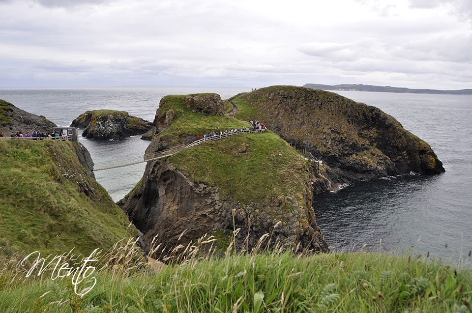 _DSC6730