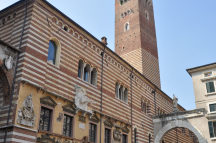DSC7385