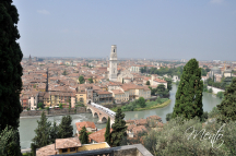 DSC7408