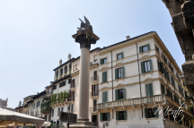 DSC7438