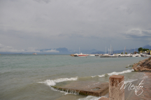 DSC7518