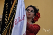 _DSC0528