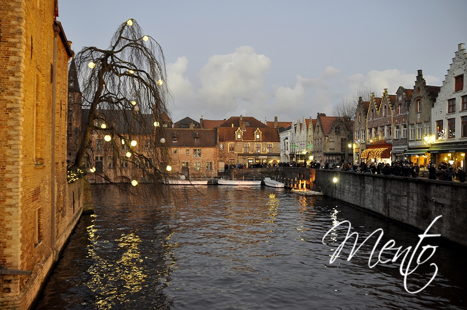 _DSC2979