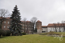 _DSC0700
