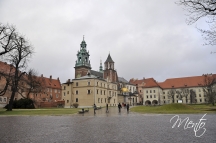 _DSC0724