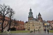_DSC0725