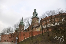 _DSC0760