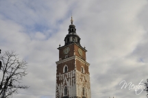 _DSC0836