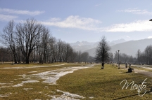 _DSC0901
