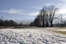 _DSC0909