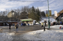 _DSC0951