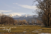 _DSC1003