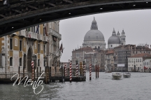 DSC7248