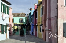 DSC7420
