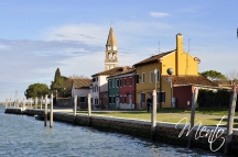 DSC7445
