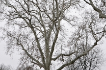 DSC4092