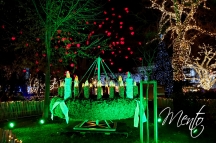 IMG_20191223_181927