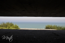 _DSC1713