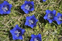 004-2