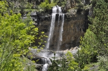 004-3