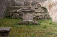 DSCF7645