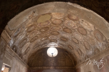 DSCF7674