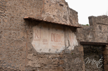 DSCF7736