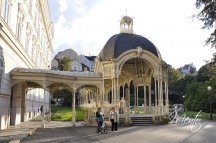 chequia (75)