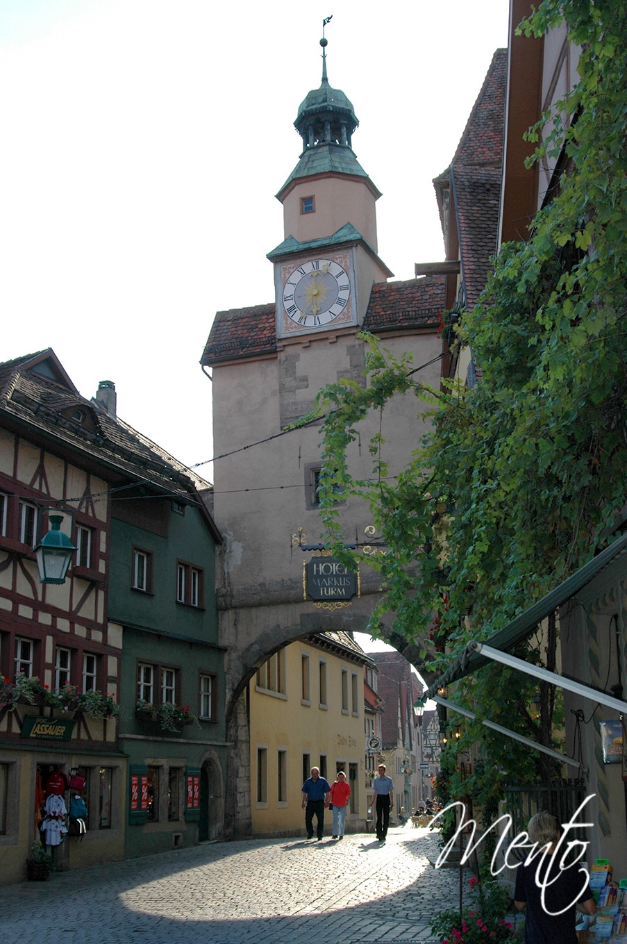Selva negra (209)