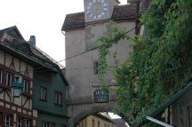 Selva negra (209)
