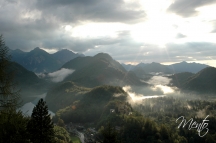 Tirol (227)