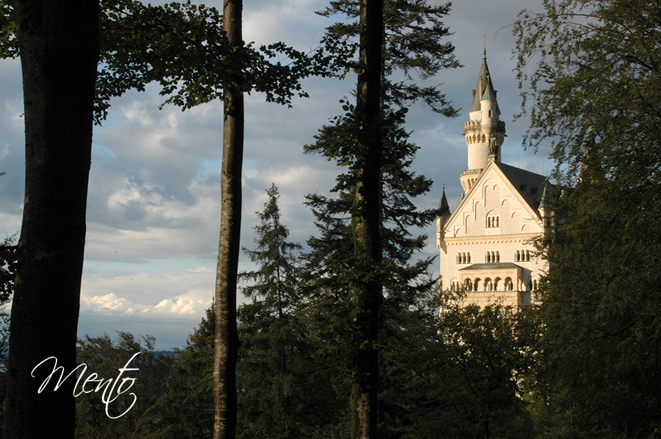 Tirol (229)