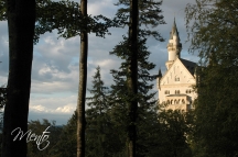 Tirol (229)