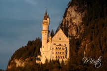 Tirol (244)
