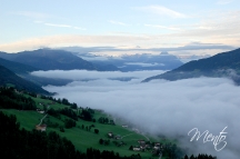 Tirol (249)