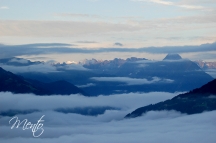 Tirol (250)
