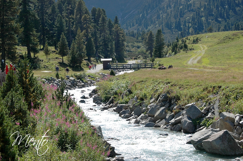 Tirol (255)