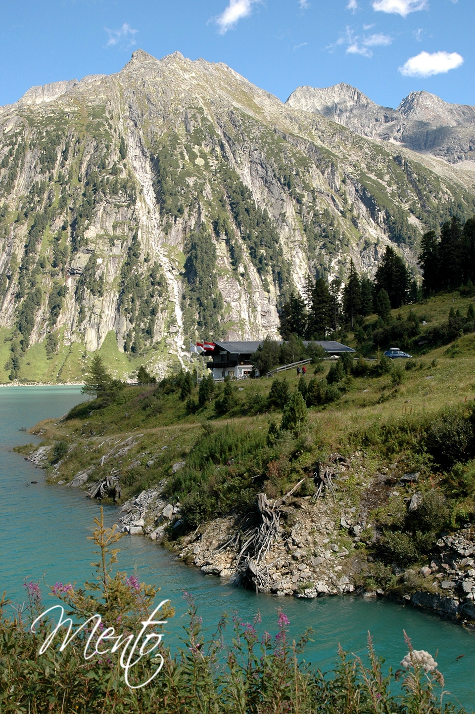 Tirol (274)