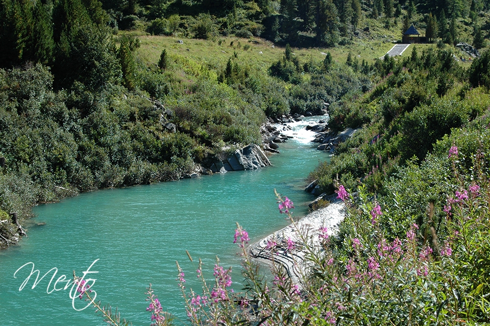 Tirol (277)