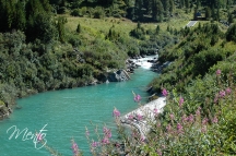 Tirol (277)