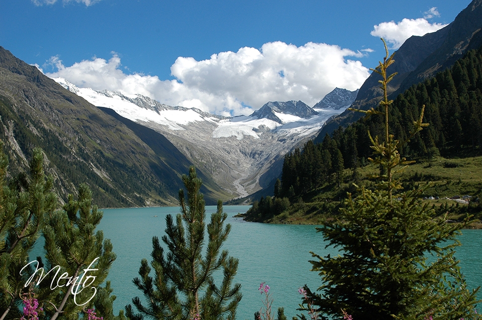 Tirol (282)