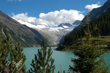 Tirol (282)