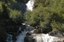 Tirol (299)