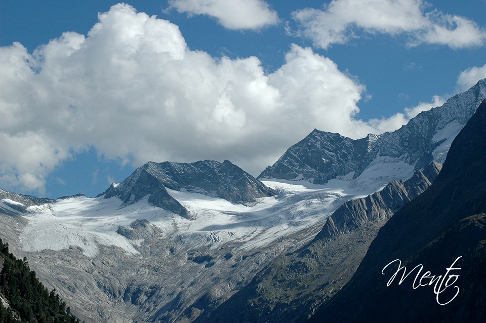 Tirol (303)
