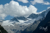 Tirol (303)