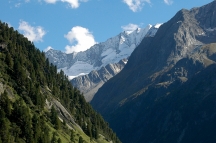 Tirol (315)