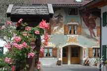 Tirol (370)