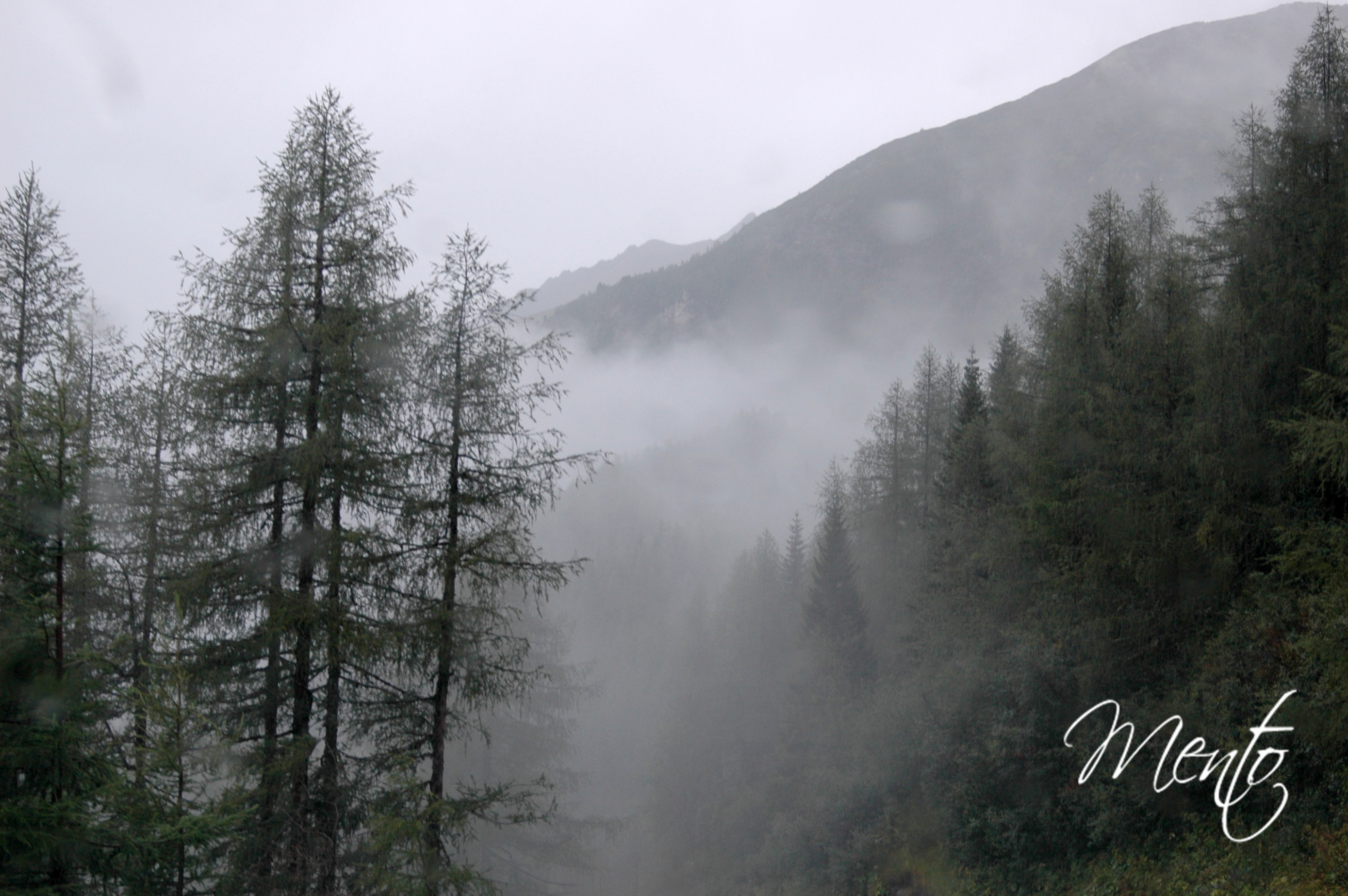 Tirol (56)